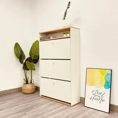 img collection info 1